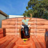 RODEO COOL - Image 2