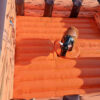 RODEO COOL - Image 3